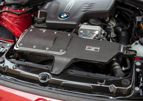 AWE Tuning BMW 228i/320i/328i/428i S-FLO Carbon Intake