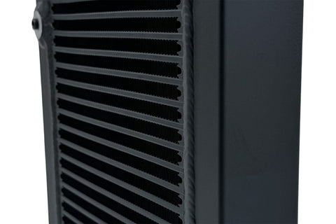 Photo - Close Up